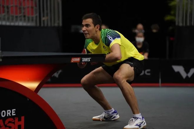 各盡其責的 各盡其責的